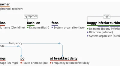 Comprehend Medical: A Named Entity Recognition and Relationship Extraction Web Service featured image
